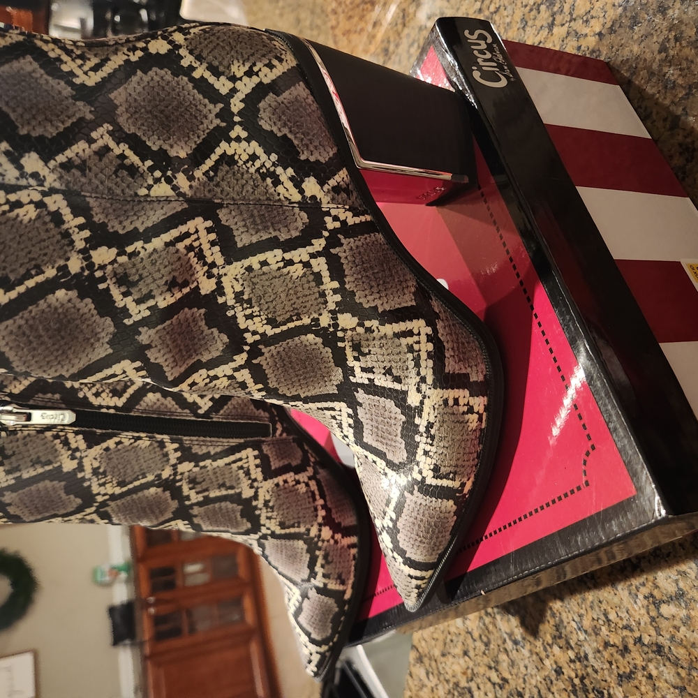 Circus by Sam Edelman Snake Print Women's Bag